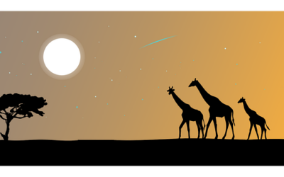 Des contes sur l’Afrique noire