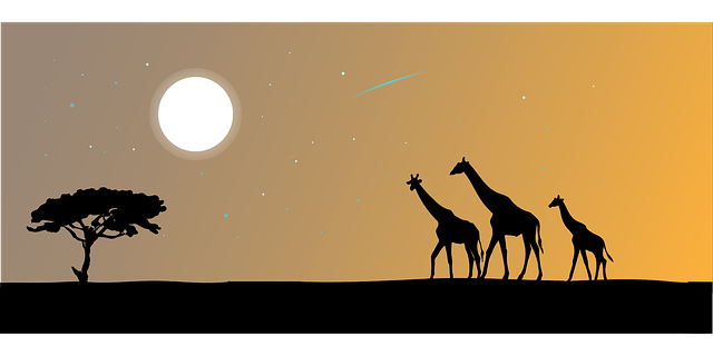 Des contes sur l’Afrique noire